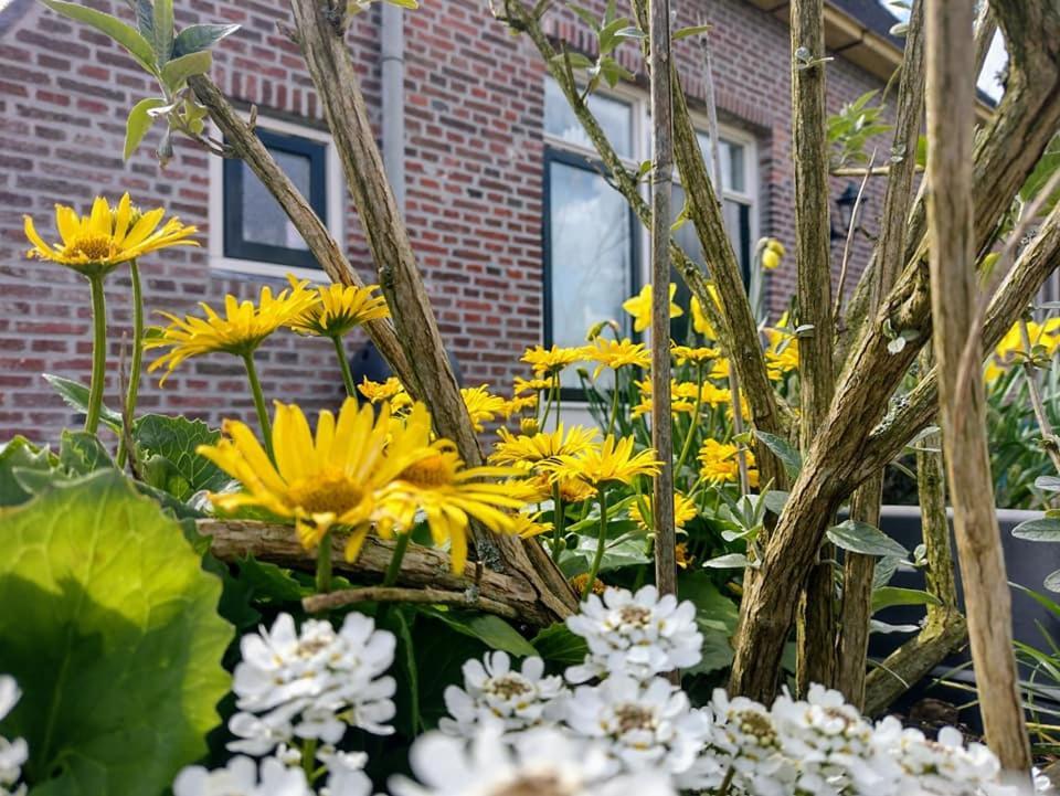 Grytmanshoeve, Vakantiehuis Met Glamping Niawier Екстериор снимка